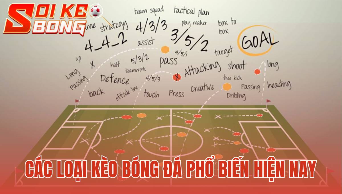 Các Loại Kèo Bóng Đá Phổ Biến Hiện Na