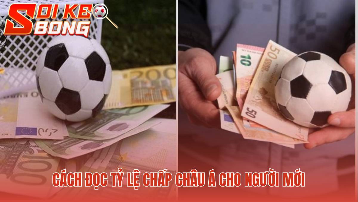 Hiểu rõ ý nghĩa đằng sau những con số tỷ lệ chấp chính