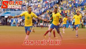 Cách Soi Kèo Tài Xỉu