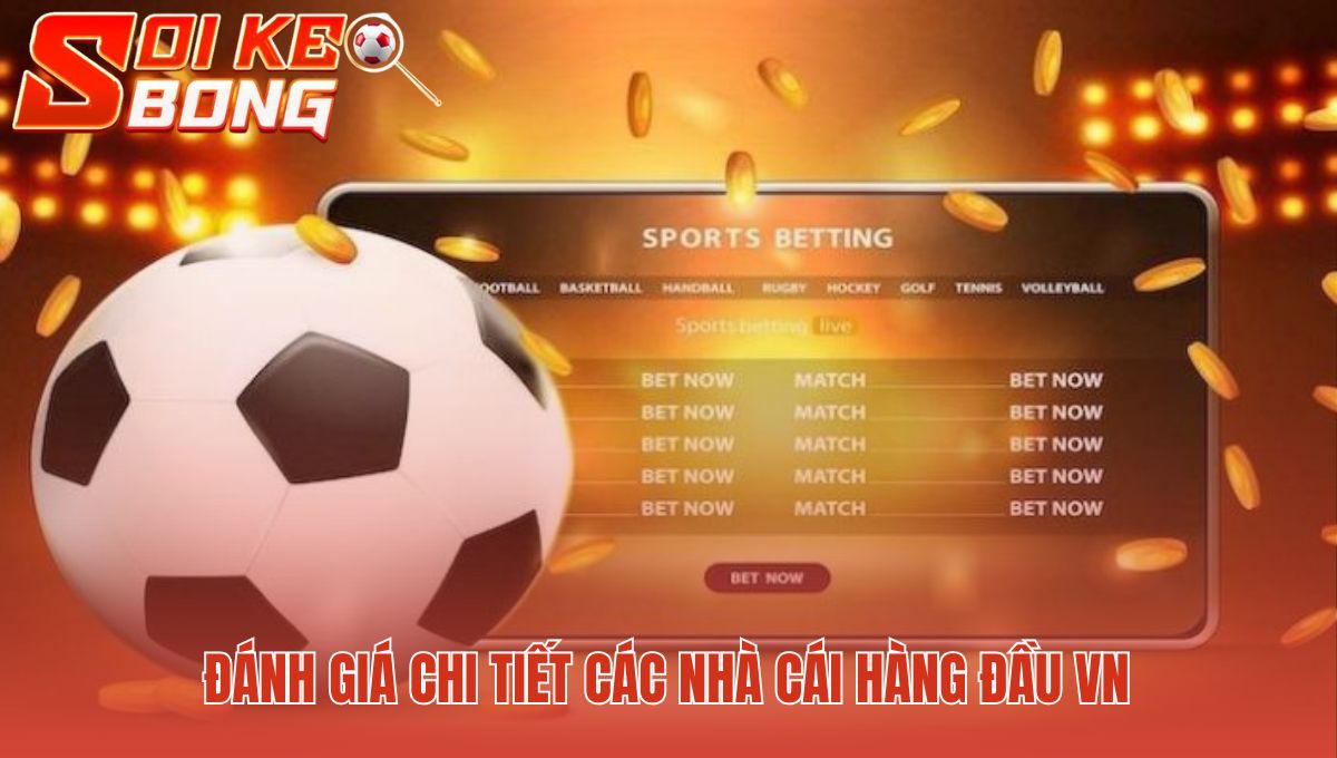 Danh sách 10+ trang cá độ uy tín nhất được chuyên gia chọn lọc