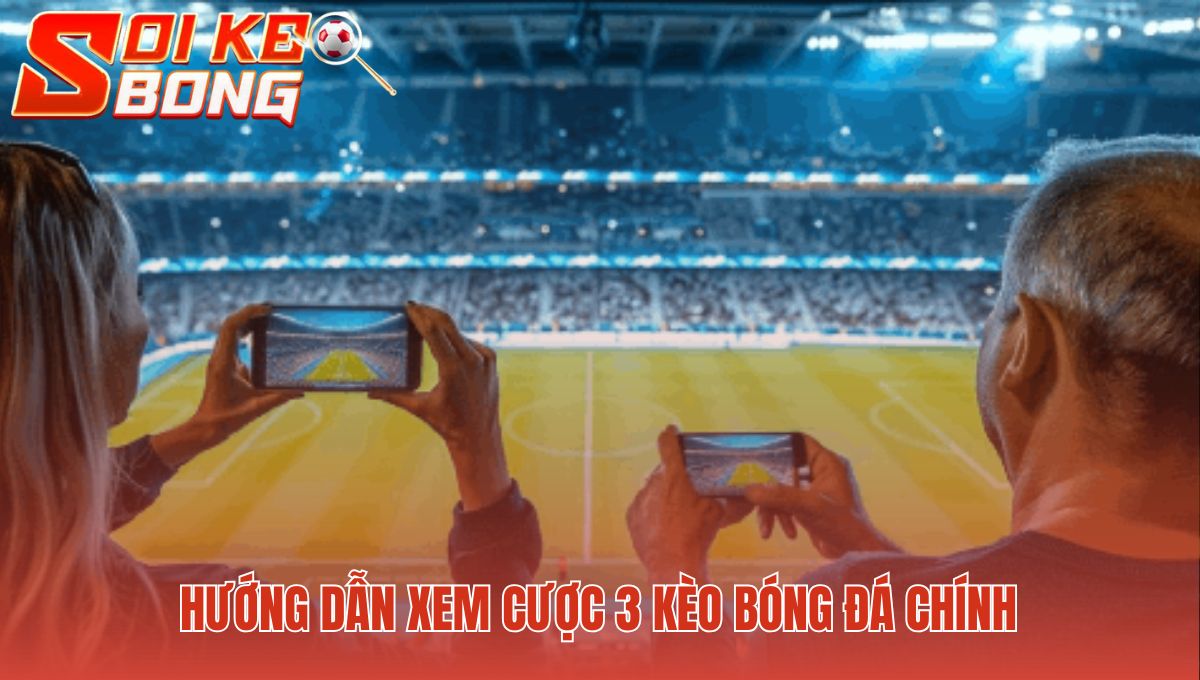 Hướng dẫn xem tỷ lệ cá cược bóng đá 3 kèo chính