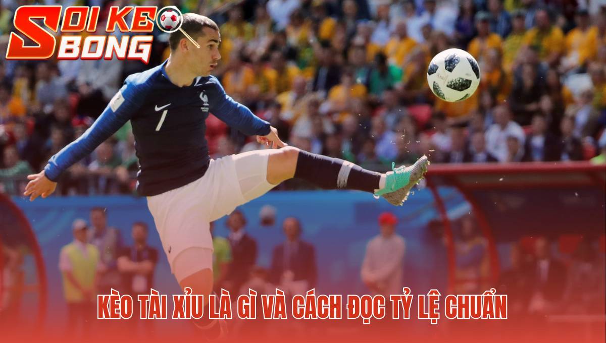 Đọc kèo Tài Xỉu là dự đoán tổng số bàn thắng của trận đấu