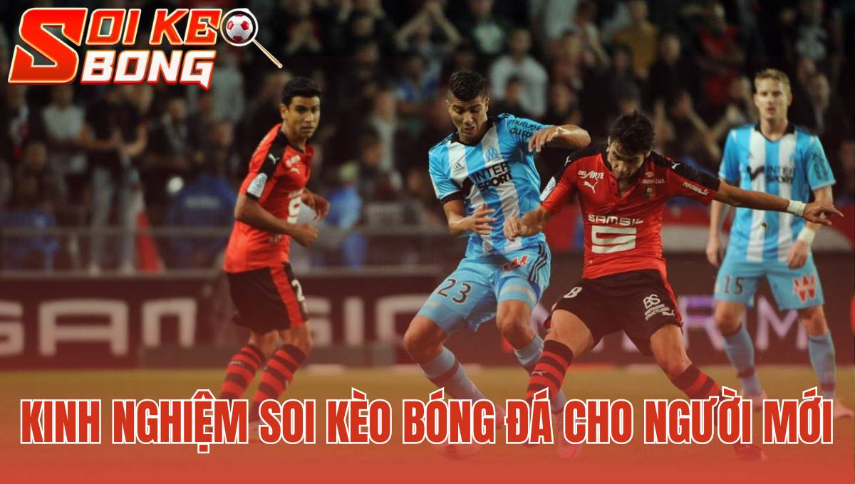 Kinh Nghiệm Soi Kèo Bóng Đá Cho Người Mới