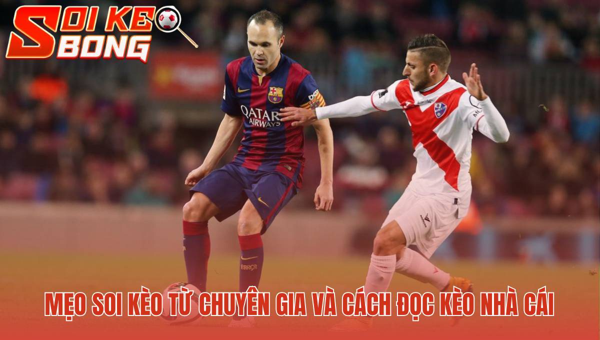 Cách soi kèo tài xỉu ứng dụng mẹo từ chuyên gia phân tích