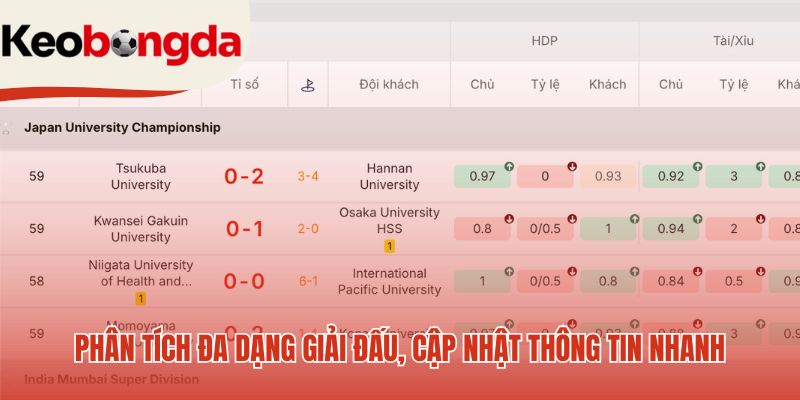 phan tich da dang giai dau cap nhat thong tin nhanh