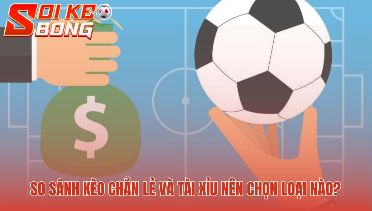 Kèo Chẵn Lẻ | Cách Đọc Tỷ Lệ Trong 2 Phút Từ Soi Kèo 3 Kèo chẵn lẻ đơn giản hơn Tài Xỉu cho người mới