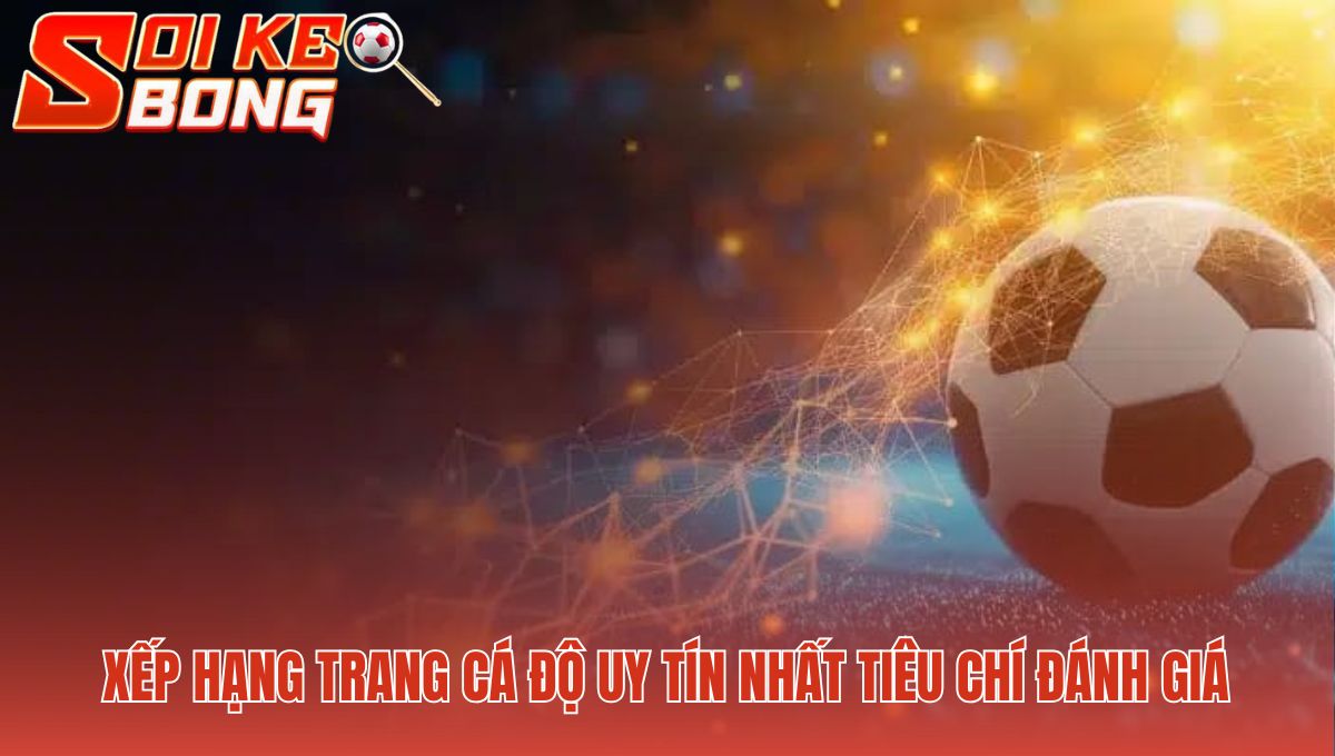 Tiêu chí đánh giá phản ánh nền tảng tạo nên sân chơi minh bạch